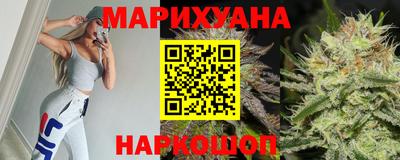 сатива Можга