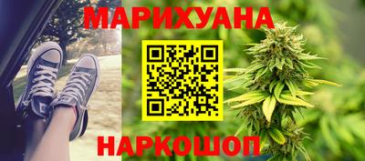 сатива Можга