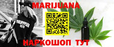 сатива Можга