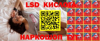 сатива Можга